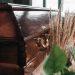 'Indians are ashamed': Community raises funds to pay for cremation of Indian national 7 Coffin