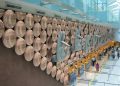 'Heartening': Australia changes rules for travel from India 12 Delhi Airport