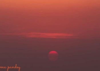 WhatsApp Image 2021 05 10 at 4.55.33 PM