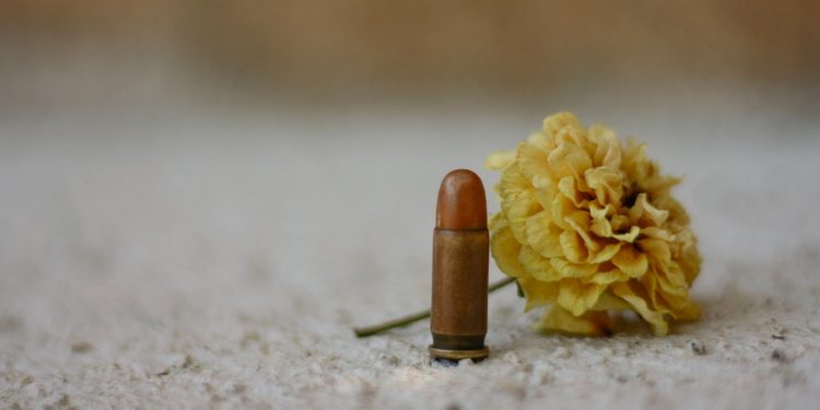 जब सरहदों पर 1 gun 4179900 1920