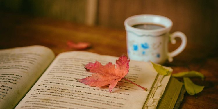 एक स्लाइस ज़िंदगी 1 leaves 1076307 1920