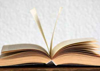 pexels pixabay 415071