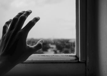 pexels renato mu 1264438