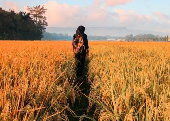 Opinion: New White Australia Policy excludes Indians from Working Holiday Visa