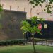 Australian HC Delhi staffer sacked for taking bribes in return for issuing visas: Report 6 Australian High Commission