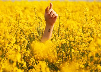 The Dangers of farm work in Australia