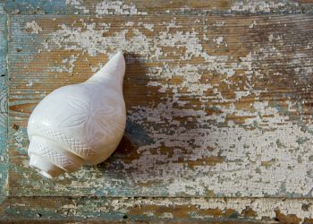 Hindu Temple Watford