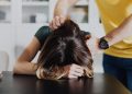 "I have officially escaped domestic violence for good" 9 Domestic Violence