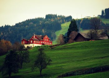 कहानी को यहां से देखिएः प्रेम करो तो ऐसे