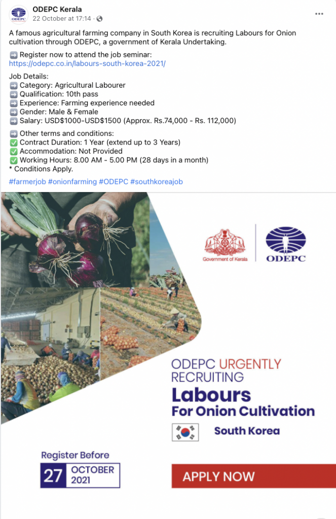 USD 1,399 salary: Thousands of Indians apply for onion farming job 2 Screen Shot 2021 11 03 at 3.25.15 pm