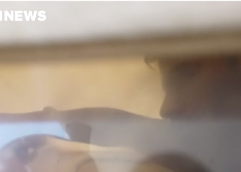 Indian origin truck driver