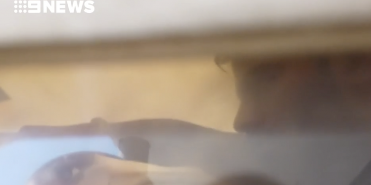 Indian-origin Truck driver jailed for killing a 10-year-old in Sydney 1 Indian origin truck driver