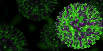 Melbourne: Latest Victorian Government guidelines on coronavirus 12 Melbourne: Latest Victorian Government guidelines on coronavirus