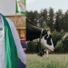 Indian farmers will oppose potential milk agreement with Australia: Rakesh Tikait 8 Rakesh Tikait on India Australia milk agreement