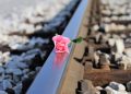 Coping with suicide loss: Coconut Chats podcast 12 Coping with suicide loss: Coconut Chats podcast