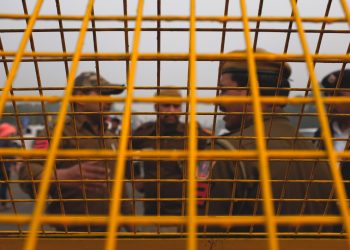 Why has India been called ‘Partly Free’ by the Freedom House report? 5 Why has India been called ‘Partly Free’ by the Freedom House report?