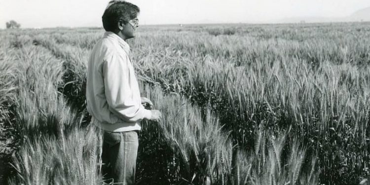 Padma Bhushan to Dr Sanjaya Rajaram – The scientist who revolutionised wheat production across the world