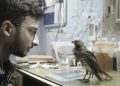 Film Review: 'All That Breathes' by Shaunak Sen 12 abc