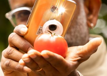 Photo: Flinders University