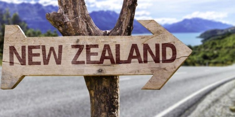 Surge in Foreigners Flocking to New Zealand Expected to Ease Labour Shortages