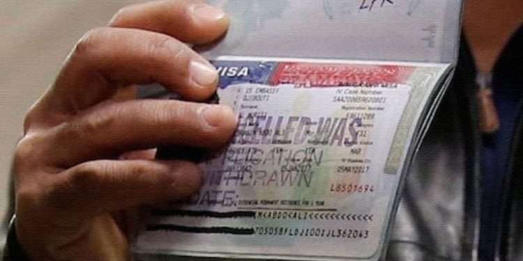 Indian Students Rejoice as US F-1 Visa Approvals Soar to 6-Year High 1 Indian Students Rejoice as US F-1 Visa Approvals Soar to 6-Year High