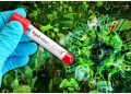 India Procures Australian Antibodies for Nipah Virus as Kerala Reports New Cases 14 India Procures Australian Antibodies for Nipah Virus as Kerala Reports New Cases