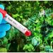 India Procures Australian Antibodies for Nipah Virus as Kerala Reports New Cases 7 India Procures Australian Antibodies for Nipah Virus as Kerala Reports New Cases