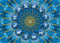 How do we define or measure happiness? 10 Complaints, protests and ‘shikwa’ to God, and the failure of the Law of Karma