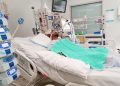 Indian-Origin Student Assaulted Brutally in Tasmania 13 Indian-Origin Student Assaulted Brutally in Tasmania