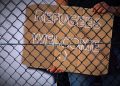 Hiring through the Skilled Refugee Labour Agreement Pilot Program 27 Hiring through the Skilled Refugee Labour Agreement Pilot Program