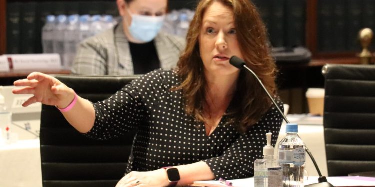 Hindu Council's nomination to NSW faith body questioned in NSW Parliament 1 Abigail Boyd 2