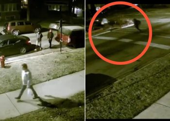 Desperate Cry: 'Please Help' - Indian Student Targeted in Chicago Attack! 4 Indian Student Targeted in Chicago-Attack!