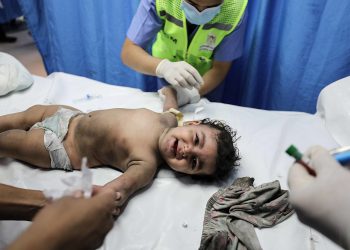 With genocide in Gaza, the word ‘never’ has been stripped from ‘never again’: Arundhati Roy