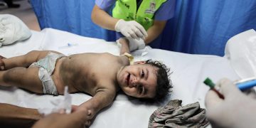 With genocide in Gaza, the word ‘never’ has been stripped from ‘never again’: Arundhati Roy