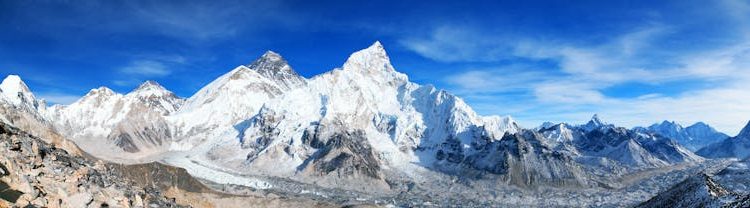 The high and mighty Himalayas: A biodiversity hotbed facing significant challenges 1 The high and mighty Himalayas: A biodiversity hotbed facing significant challenges