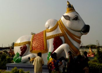 Why Hindus worship animals