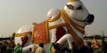 Why Hindus worship animals