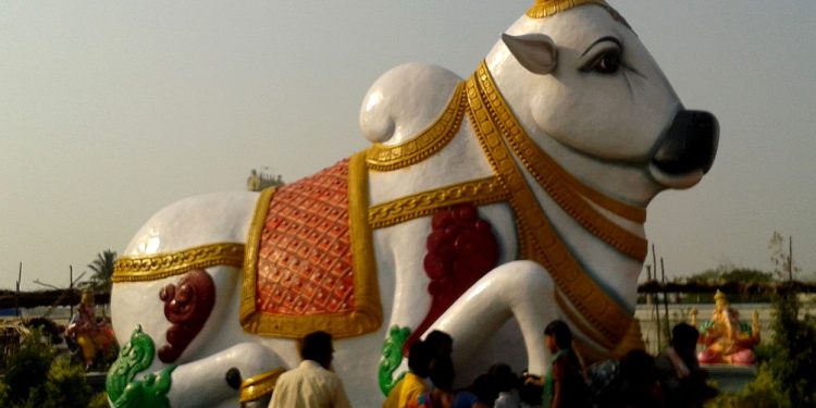 Why Hindus worship animals