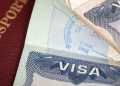 Visa Applications in India Surge Beyond Pre-Pandemic Levels in the First Half of 2024 12 Visa Applications-in-India-Surge-Beyond-Pre-Pandemic-Levels-in-the-First-Half-of-2024-nri-affairs