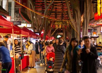 About half the Asian migrants we surveyed said they didn’t fully understand how our voting systems work. It’s bad for our democracy