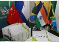 Brics+ could shape a new world order, but it lacks shared values and a unified identity