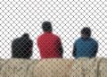 Are Indian citizens at risk of deportation in the U.S.? Over 18,000 on deportation list, data reveals 12 Deportation from USA