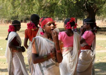 Central India’s indigenous forests are falling victim to bullets and bulldozers