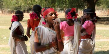 Central India’s indigenous forests are falling victim to bullets and bulldozers