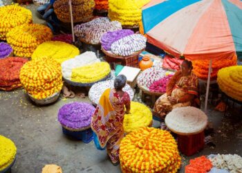 Women are South Asia’s ‘silent contributors’ – changing that could transform economies 4 Women are South Asia’s ‘silent contributors’ – changing that could transform economies