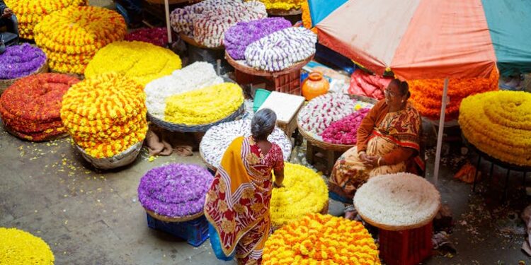 Women are South Asia’s ‘silent contributors’ – changing that could transform economies