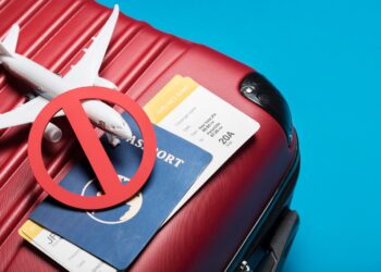 From Protests to Parking Fines: How U.S. Student Visas Are Being Revoked Overnight