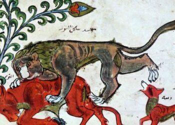 What ancient animal fables from India teach about political wisdom 2 What ancient animal fables from India teach about political wisdom