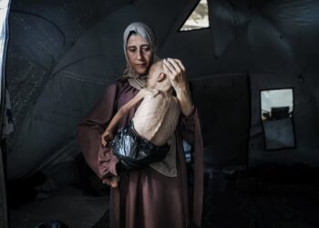 Gaza is starving – how Israel’s allies can go beyond words and take meaningful action