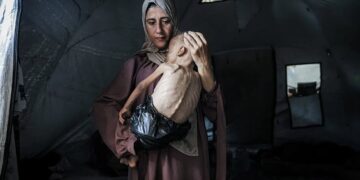 Gaza is starving – how Israel’s allies can go beyond words and take meaningful action